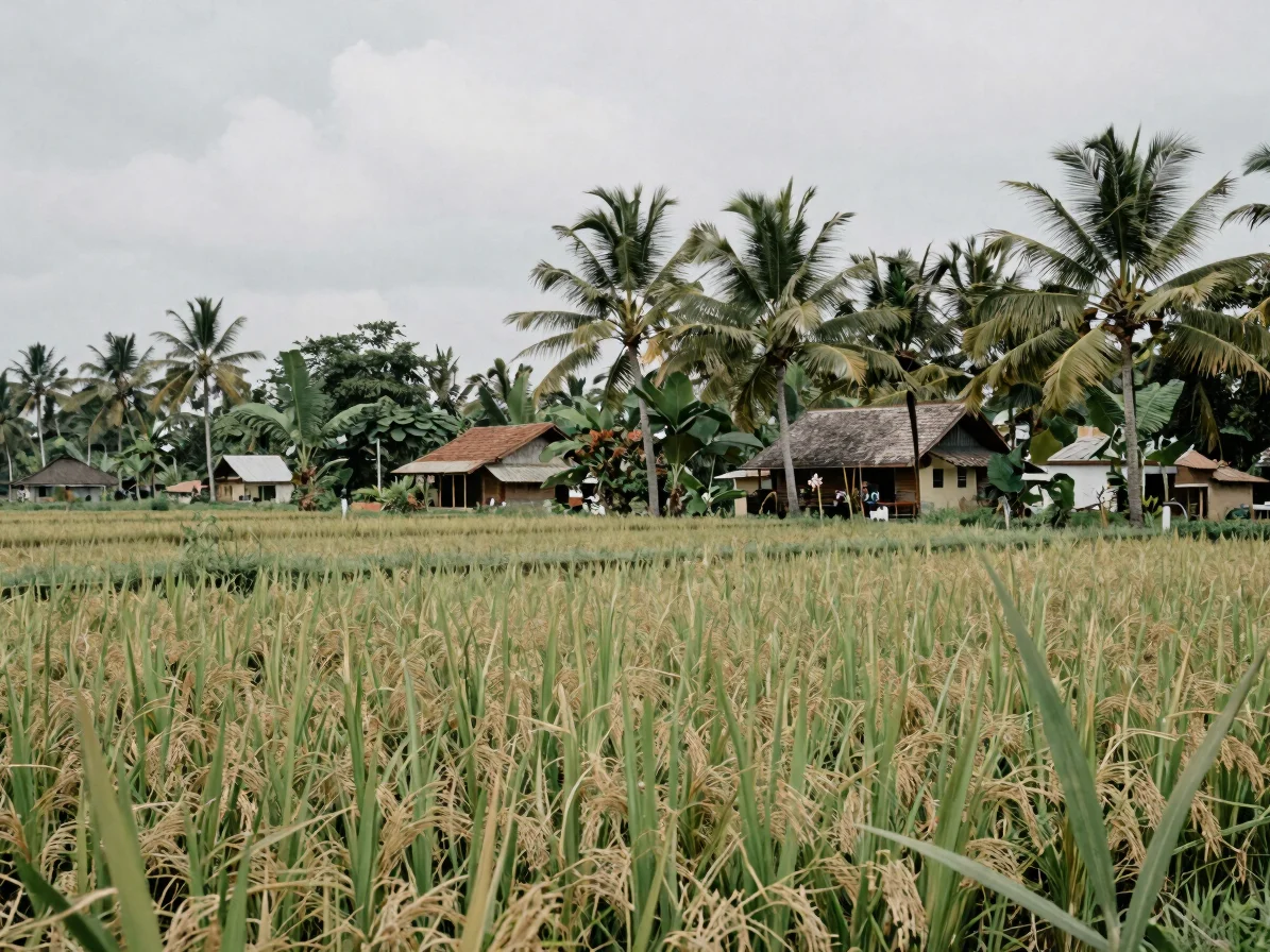 Documentary editorial photograph of a tropical Indonesian village